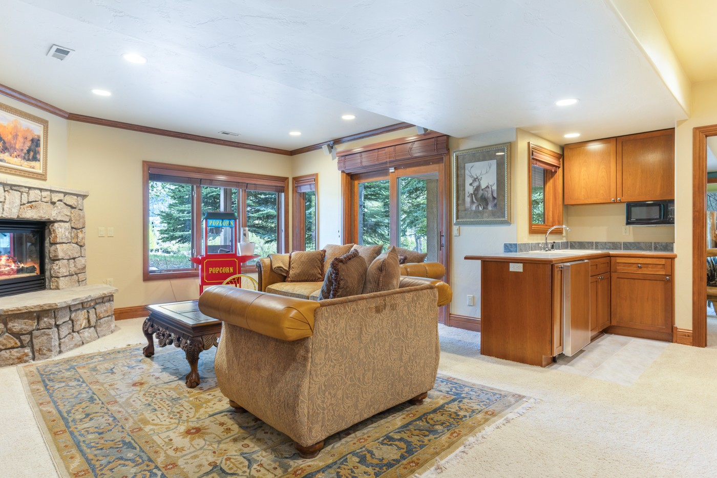 Lower Level Family Room + Suite — photograph 3